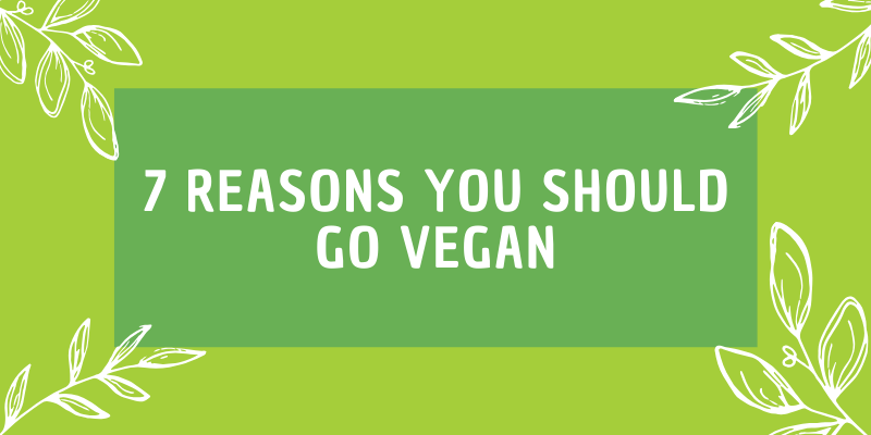 7 Reasons You Should Go vegan