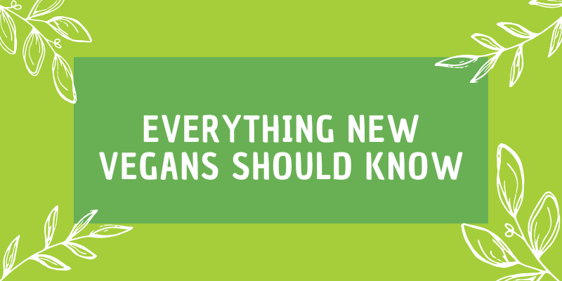 Everything New Vegans Should Know (Top Tips)