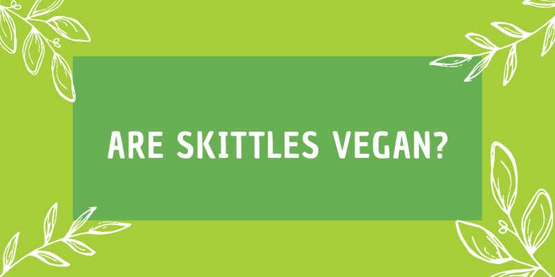 Are Skittles Vegan? The Vegan's Guide to Skittles