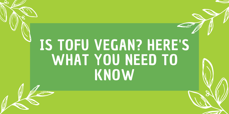 Is Tofu Vegan? Here's What You Need To Know