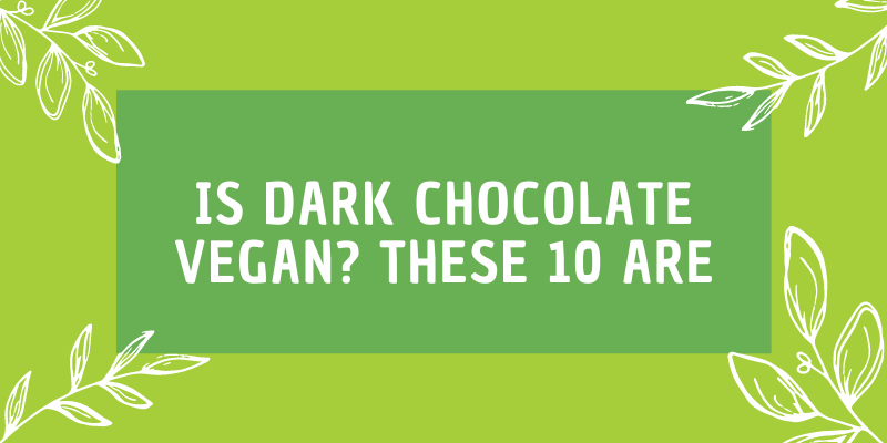 Is Dark Chocolate Vegan? Our Top 10 Picks