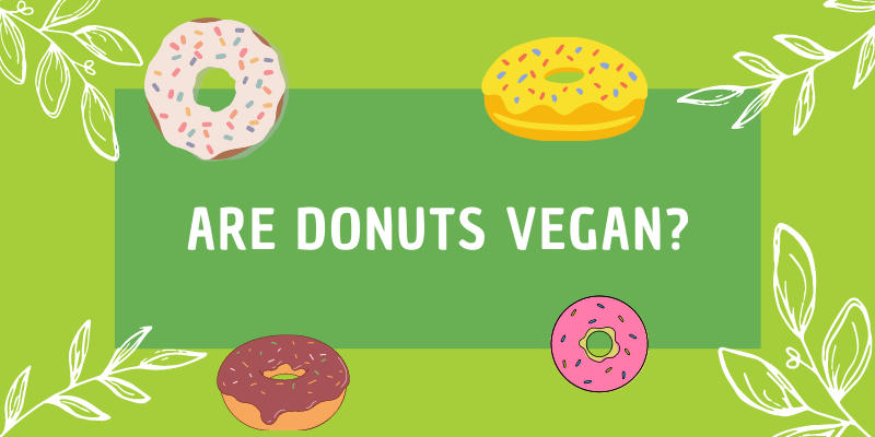 Are Donuts Vegan? The Complete Lowdown + Recipe
