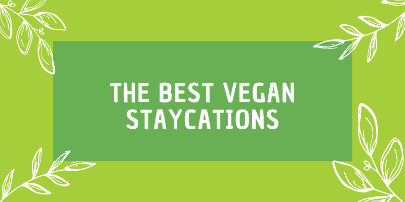 Top 10 Vegan Staycations