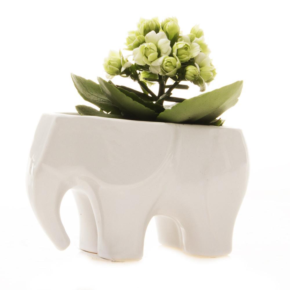 Elephant Vase - White 