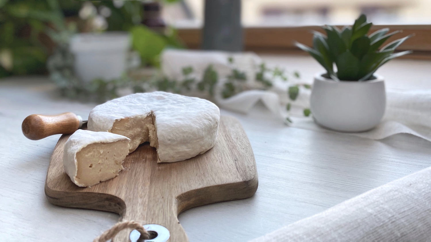 The Ultimate Vegan Cheesemaking Course by Brownble