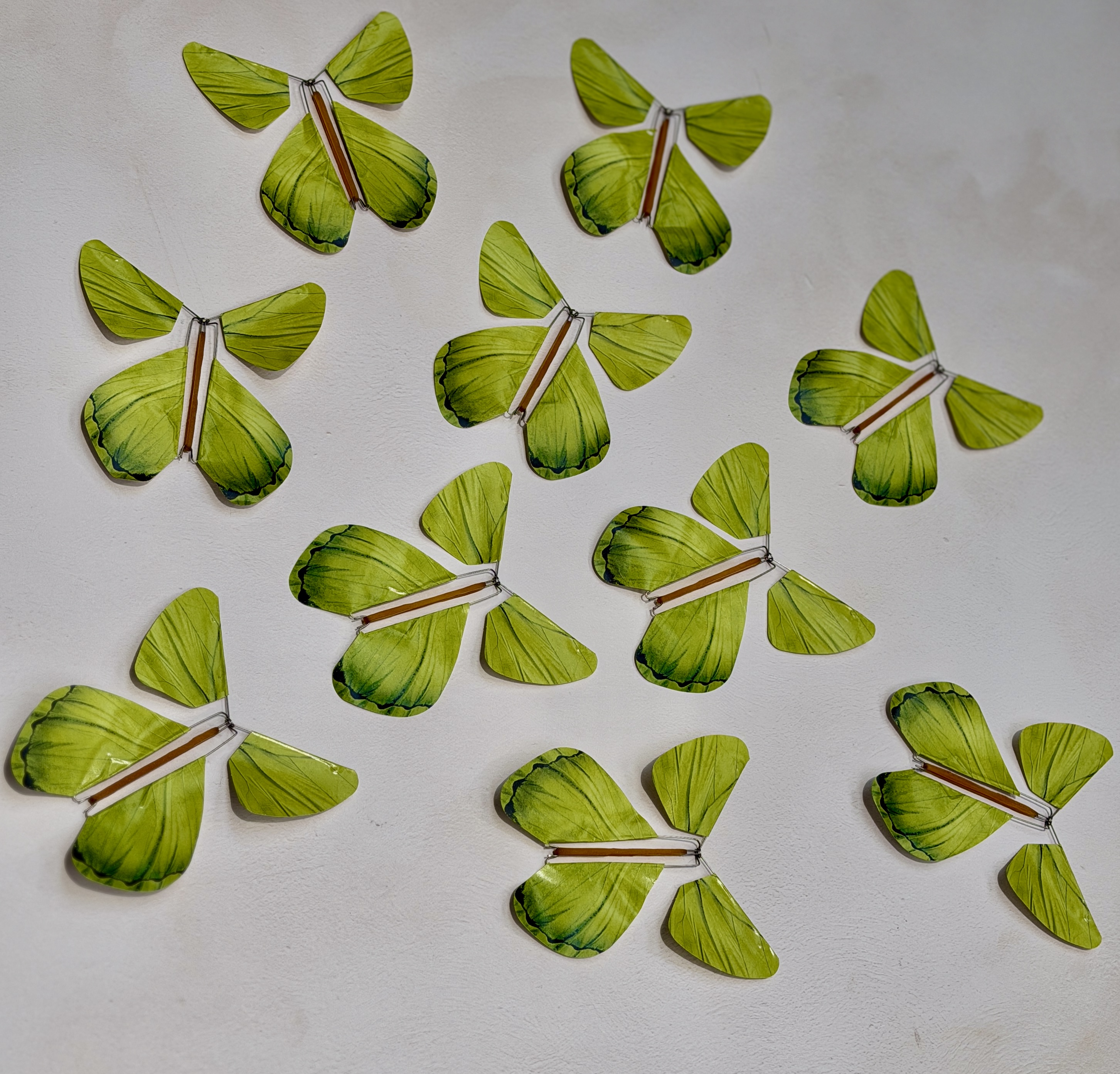 Le Papillon Magique | Magic Butterfly